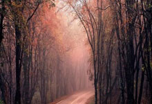 西媒：科莫今夏已投入超1亿欧引援，新赛季有望大展宏图，科莫是哪里