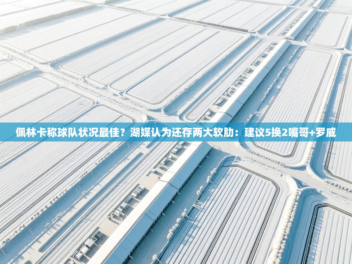 佩林卡称球队状况最佳？湖媒认为还存两大软肋：建议5换2嘴哥+罗威  第2张