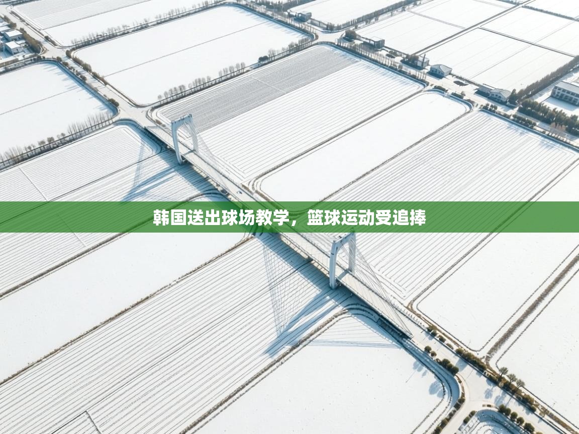 韩国送出球场教学，篮球运动受追捧  第1张