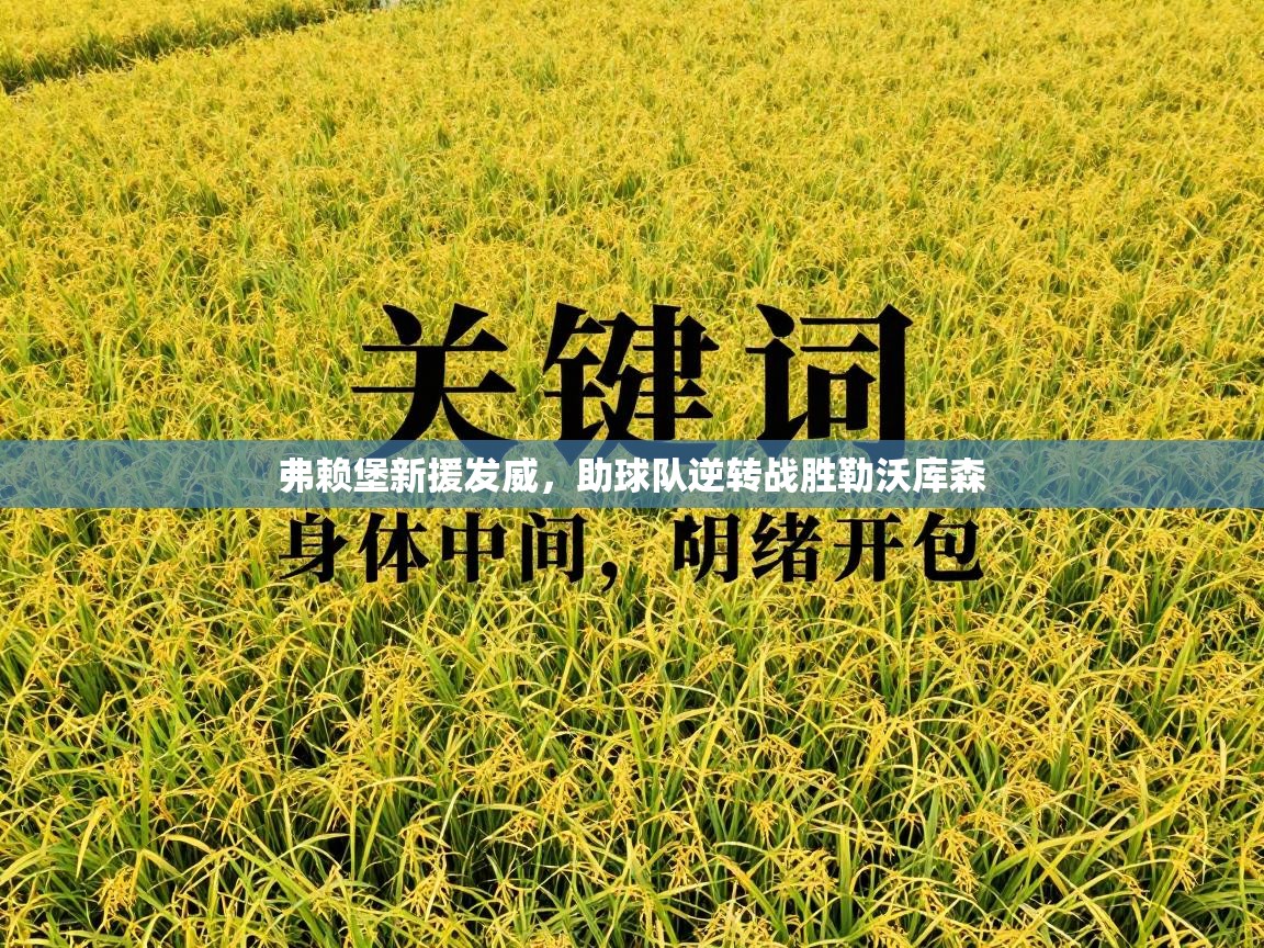 弗赖堡新援发威，助球队逆转战胜勒沃库森