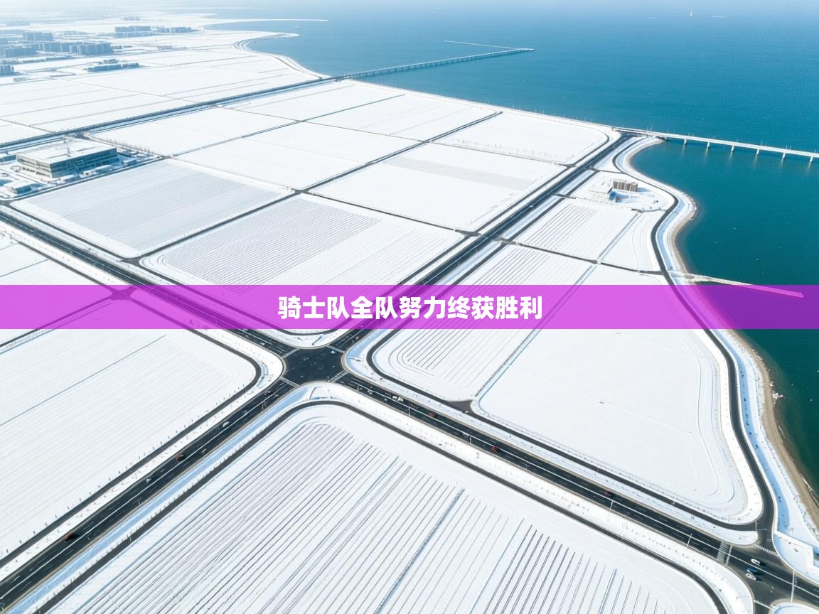 骑士队全队努力终获胜利